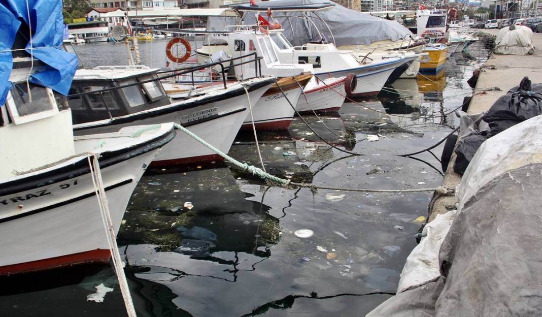 O kentin sahili bir anda çöple doldu: Deniz görünmüyor! Çevreyi kirletenlere sorsan hepsi vatanperverdir... 15